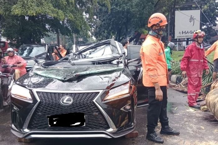 Lexus RX 300 F Sport yang gepeng tertimpa pohon palem tumbang di Jl Metro Pondok Indah, Kebayoran Lama, Pondok Indah, Jakarta Selatan, (26/10/25)