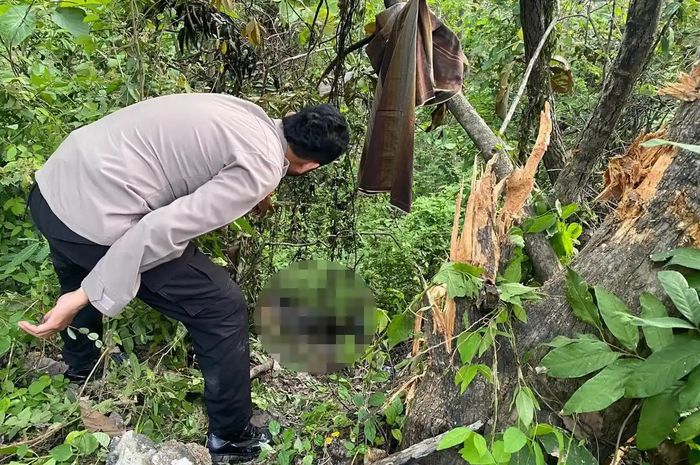 Pengendara Honda CB terbakar usai masuk ke jurang di Bojonegoro