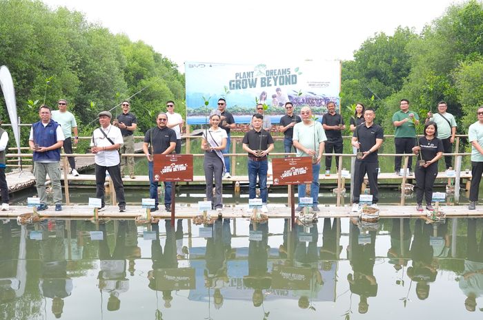 Program CSR PT BYD Motor Indonesia, kolaborasi dengan komunitas Beyond tanam 500 bibit mangrove di Taman Wisata Alam Angke, Pantai Indah Kapuk, Jakarta Utara