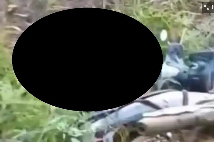 Seorang pemotor tergeletak tak bernyawa usai diserang ular piton ketika melewati jalur rimbun