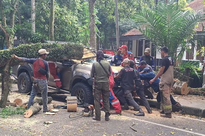 Proses evakuasi Toyota Hilux spek overland yang gepeng tertimpa pohon tumbang di Jalan Ganesha, Lebak Siliwangi, Coblong, kota Bandung, Jawa Barat