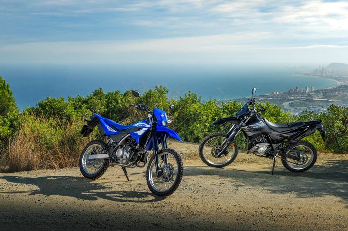 Yamaha WR125R