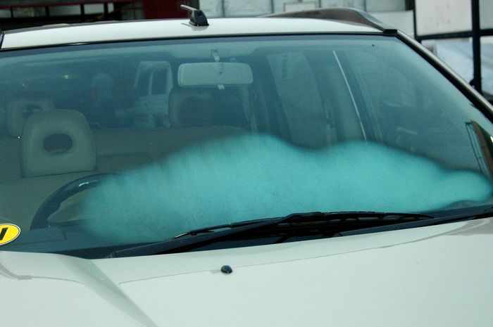 Kaca mobil berembun saat hujan bisa mengganggu pandangan dan memicu kecelakaan