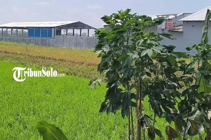 Penampakan gudang di Klaten yang jadi sarang motor selundupan yang tujuannya adalah Timor Leste