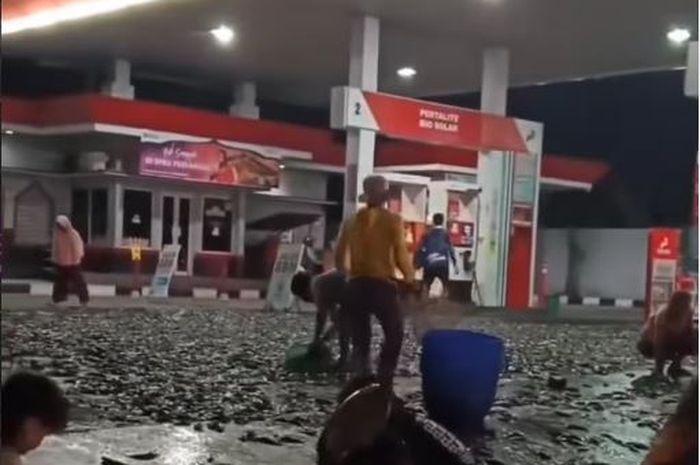 Ribuan ikan lele tumpah memenuhi area SPBU Cokro, Klaten, Jawa Tengah
