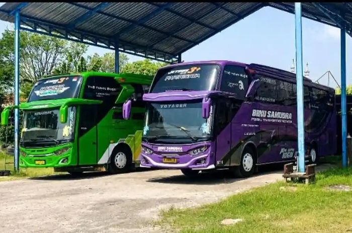 Bus pariwisata berusia tua diistirahatkan imbas rupiah melemah dan bbm melonjak naik