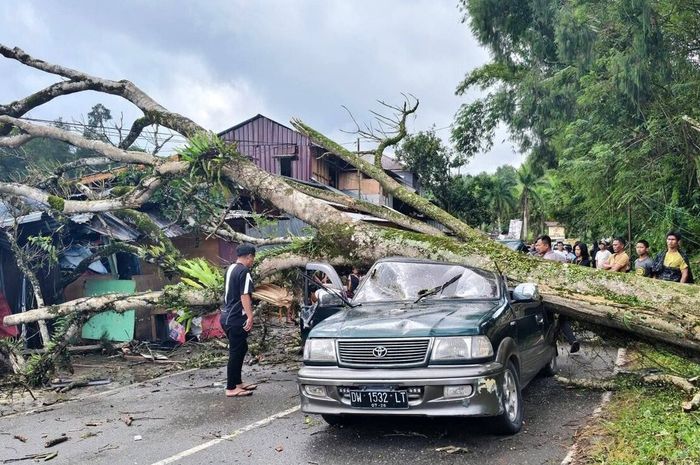 Kondisi Toyota Kijang Krista yang gepeng tertimpa pohon tumbang di jalan poros Tana Toraja-Enrekang KM 12, Rantekalua, Mengkendek, Tana Toraja, Sulawesi Selatan, (13/6/26)