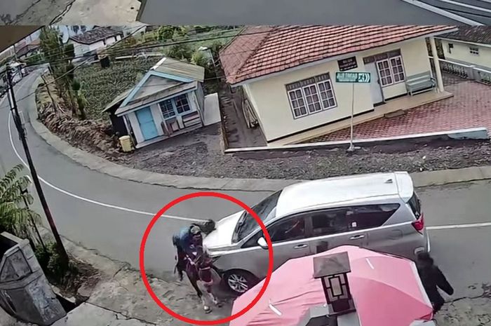 Dalam lingkaran merah detik-detik seekor kuda wisata menghantam bodi depan Toyota Kijang Innova Reborn di tikungan jalur wisata Bromo menuju Seruni Point, kabupaten Probolinggo, Jawa Timur