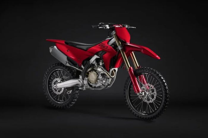 Ducati Desmo250 MX