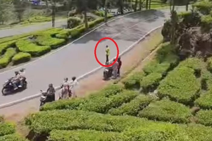 Viral video jukir liar tarik uang parkir di pinggir Perkebunan Teh Rancabali, Ciwidey
