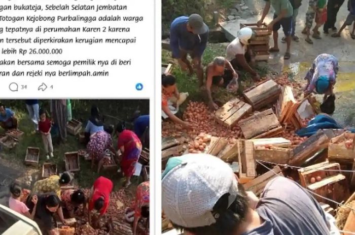 Pikap muat telur kecelakaan berakhir dijarah warga, pemilik cuma bisa pasrah
