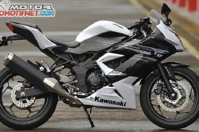 Kawasaki Ninja RR Mono
