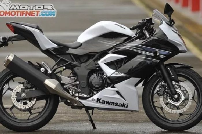 Kawasaki Ninja RR Mono