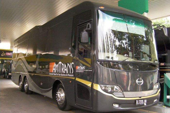 Bus AMTrans Luxurious