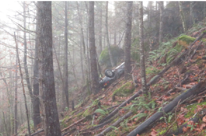 Porsche 924 Coupe ditemukan di salah satu hutan di Oregon