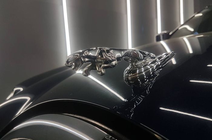 Jaguar bergaya vip setelah ceramic coating
