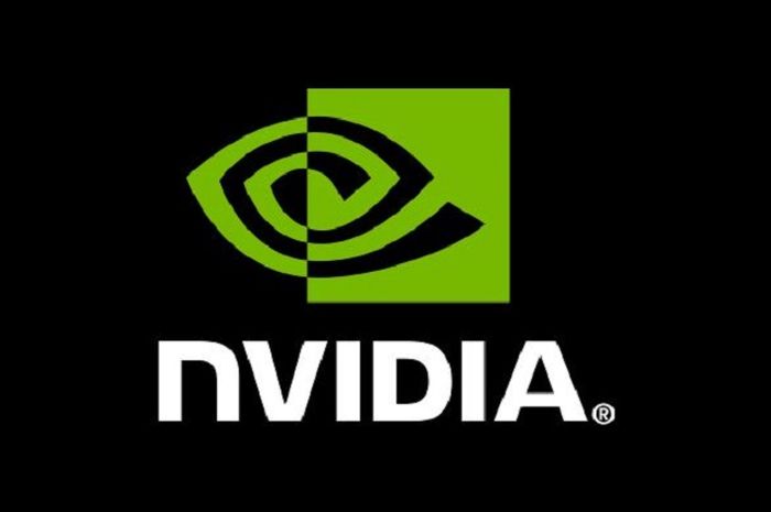 NVIDIA Graphic Card