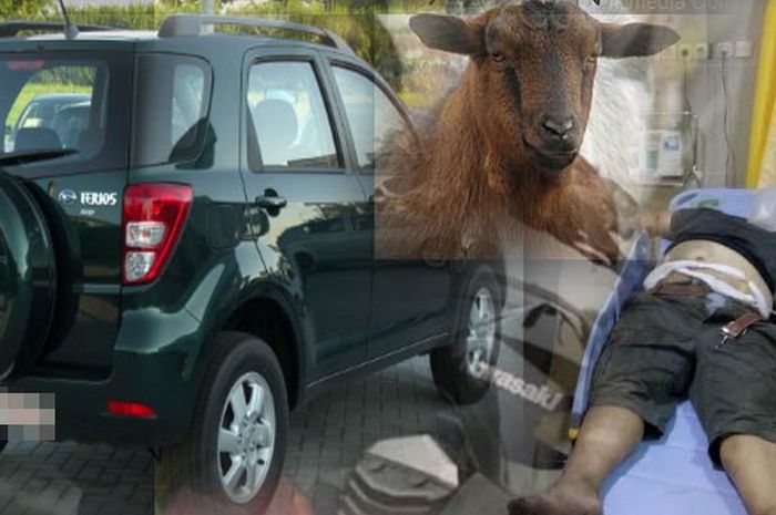 Pencurian kambing dengan menggunakan mobil Terios di Blitar Minggu (14/1/2018).