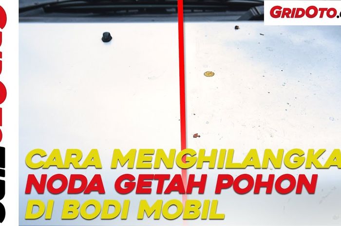 Cara menghilangkan noda getah pohon