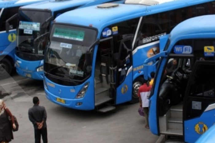 Ilustrasi Bus DAMRI 