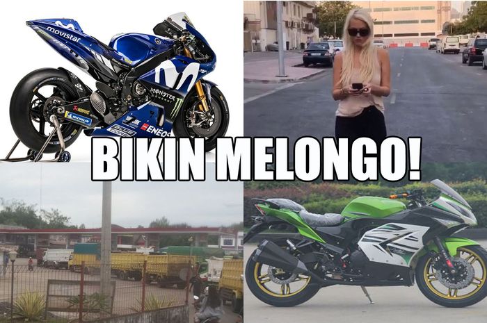 Kumpulan artikel bikin melongo