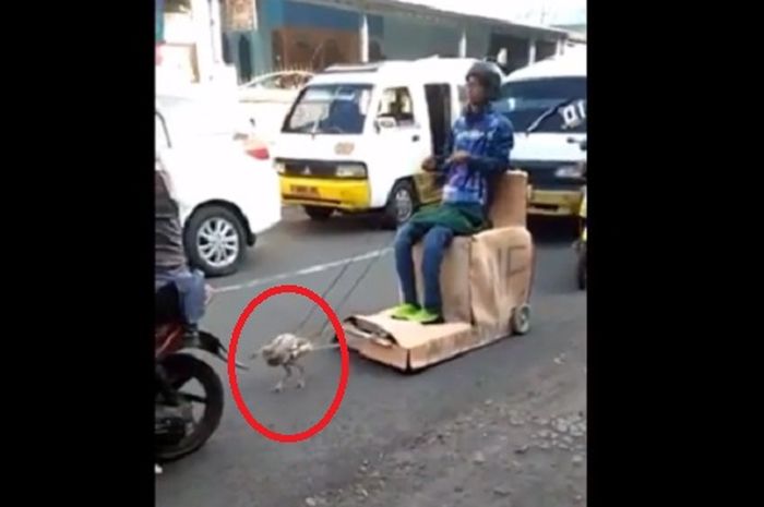 'Delyam', kendaraan yang terlihat seperti ditarik ayam.