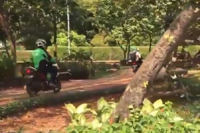 Pengendara motor melewati trotoar taman kota