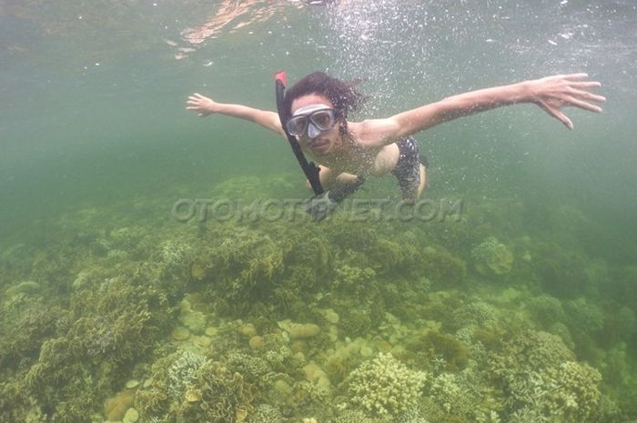 OTOMOTIF Traveling Pulau Petong Batam Menyelam Di Surga bawah Air
