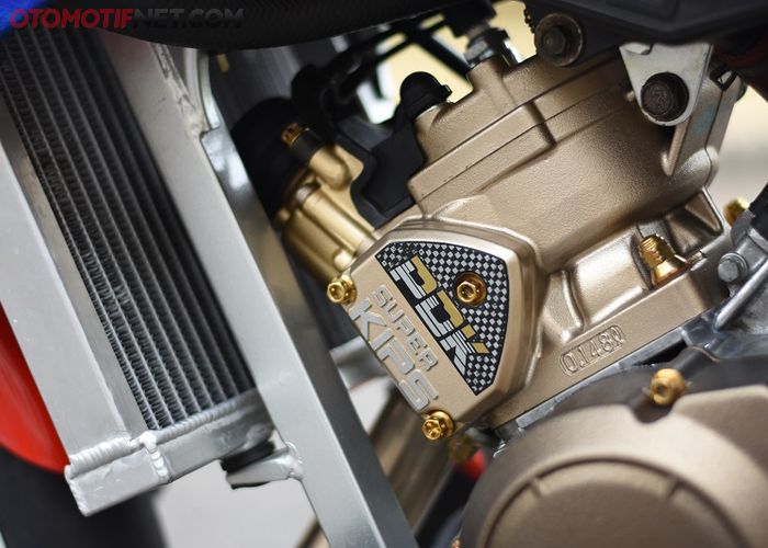 Cat Blok Mesin Motor Warna Magnesium Diton Premium Youtube