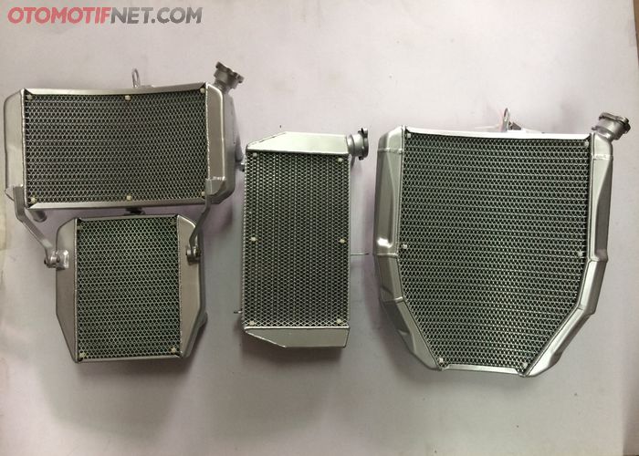 Radiator r25 store