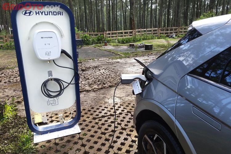 Hyundai wall hot sale charger
