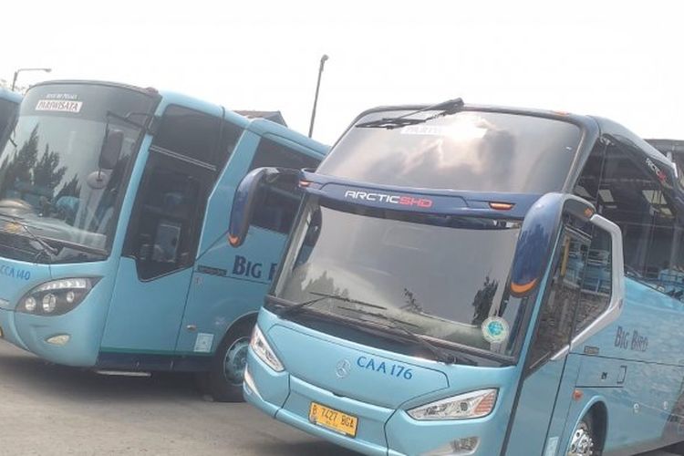  Harga Bus Bekas dari PT Blue Bird Pemakaiannya Cuma 5 