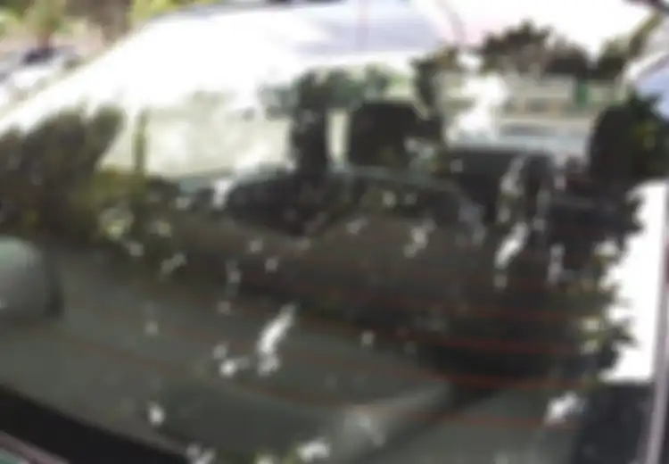Sering Diabaikan, Ternyata Ini Fungsi Penting Garis Hitam di Kaca Belakang Mobil Bekas