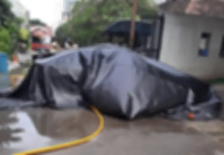 Khawatir Kebakaran Mobil Listrik, Harus Sedia APAR Jenis Khusus Ini