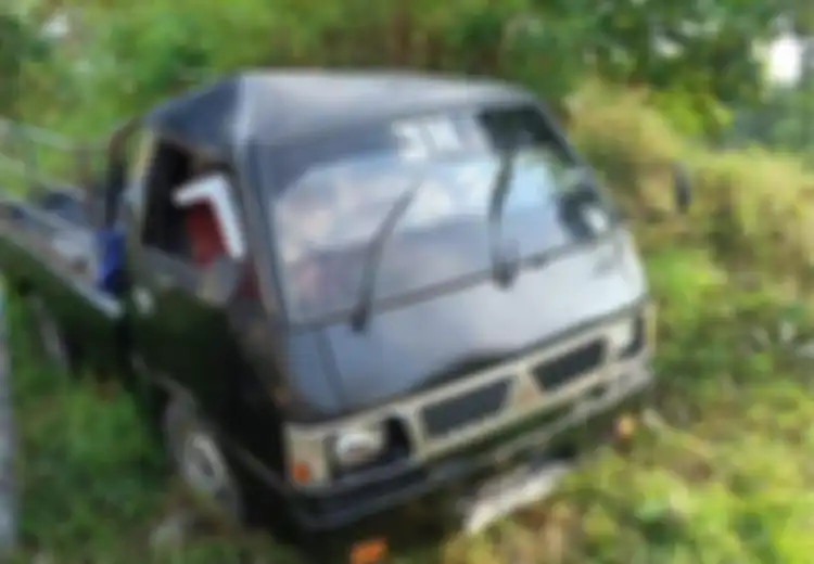 Nafsu Berbuah Petaka, Mitsubishi L300 Berakhir Terfoto di Semak-semak, Atap Menguncup