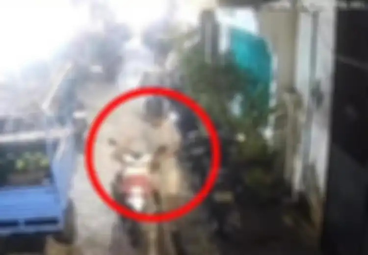 Wajah Terlalu Jelas di CCTV, Maling BeAT di Gang Tumbang Kurang 24 Jam