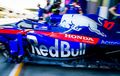 Tim Toro Rosso Hanya Kelinci Percobaan Red Bull?