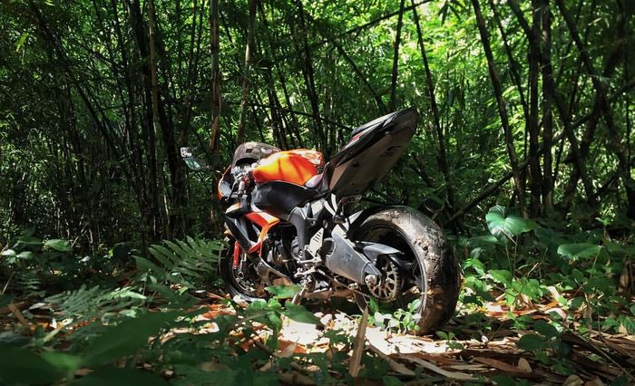 Kawasaki ZX-6R Masuk Hutan