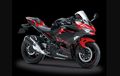 Cukup Tunjukkan STNK Motor, Kawasaki Kasih Diskon Rp 2 Juta Buat Ninja 250