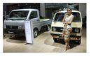 Mengaspal Nyaris 50 Tahun, Inilah Deretan Model Suzuki Carry di Indonesia