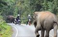 Ketemu Ini di Jalan, Dijamin Lebih 'Horor' dari Ketemu Operasi Zebra. Simak Videonya