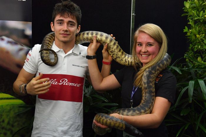 Charles Leclerc dengan ular di lehernya  menjelang dimulainya balap F1 Australia 2018