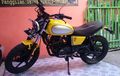 Gak Ngenalin, Pulsar 200 Jadi Scrambler, Tangkinya Bikin Gemes