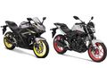 Catat! Ini Nomor Rangka R25 dan MT25 Yang Kena Recall