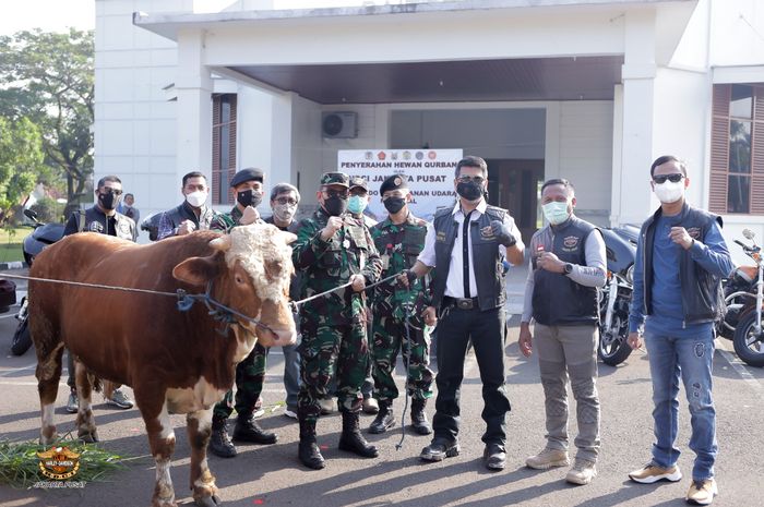 HDCI Jakarta Pusat serahkan sapi untuk kurban