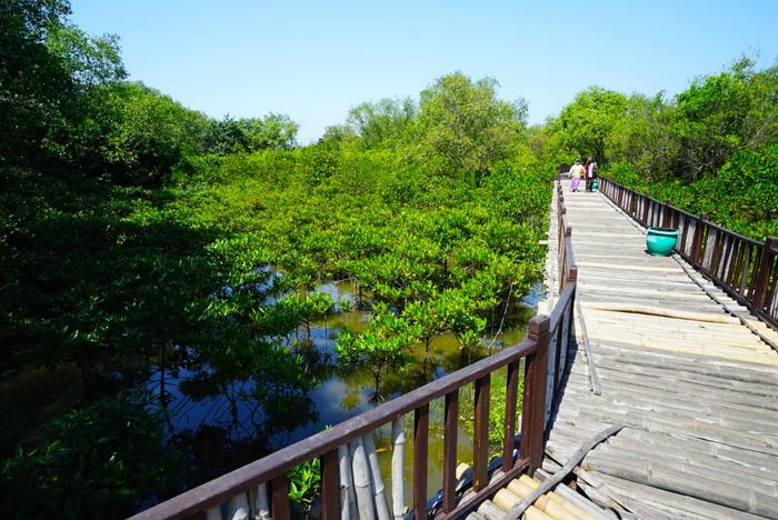 Selain menikmati pemandangan dari jembatan kayu, pengunjung bisa terhibur oleh suara kicauan burung  