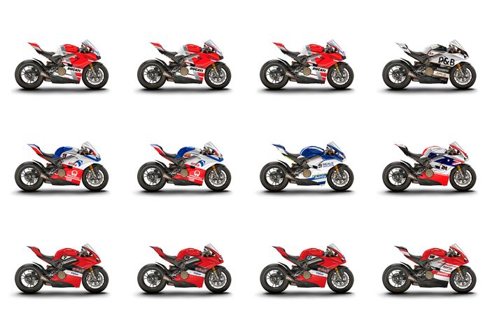 12 desain motor Ducati Panigale V4 S yang digunakan dan dilelang pada ajang World Ducati Week 2018