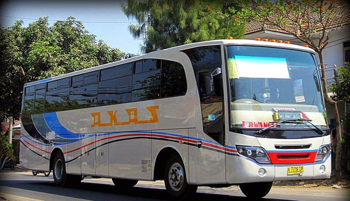 Bus Akas