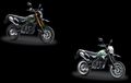 Ini Perbedaan Tipe Kawasaki D-Tracker Standar dan SE, Mana Lebih Bagus