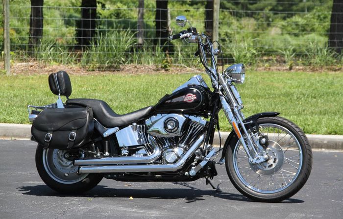 Harley Davisdson Softail Springer